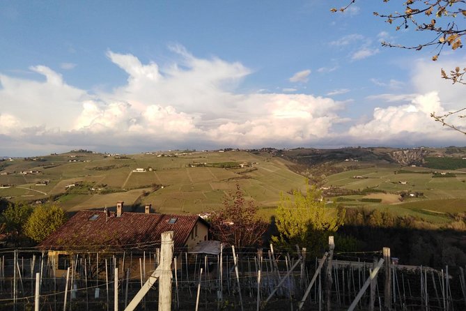 Abellonio Cascina Piccaluga - visit to the vineyards, to the wine tasting cellar - Key highlights you’ll actually remember