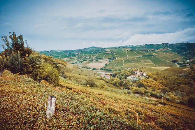 Abellonio Cascina Piccaluga - visit to the vineyards, to the wine tasting cellar - The tasting setup: 5 wines with local bites