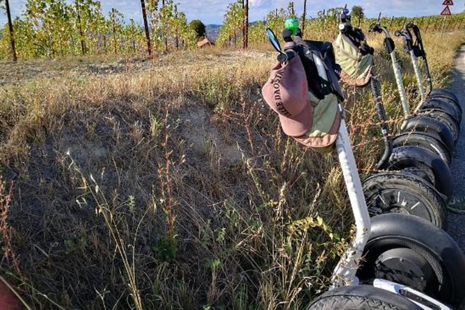 Albahills Segway Tour & Wine Tasting - Entering the world of Alba on wheels (without the workout)