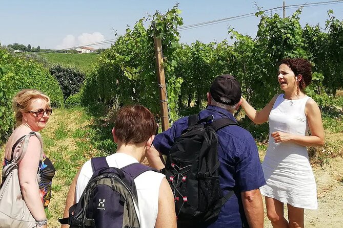 Authentic Piedmont small producers wine tour with a Sommelier - Key Highlights You’ll Actually Care About
