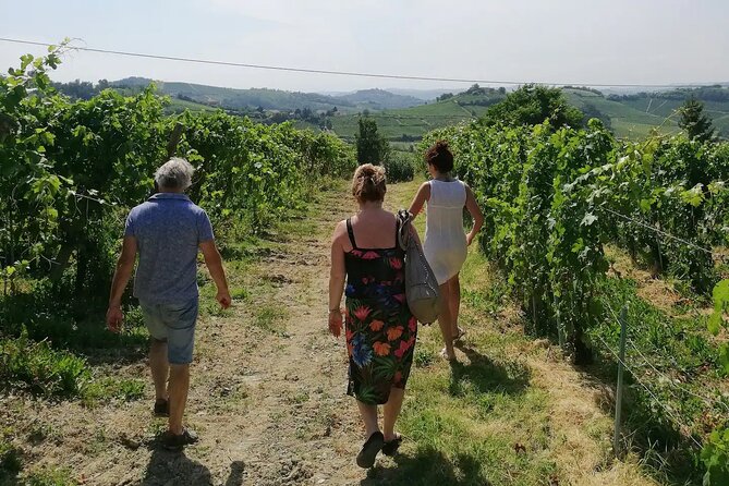 Authentic Piedmont small producers wine tour with a Sommelier - Practical Tips Before You Go
