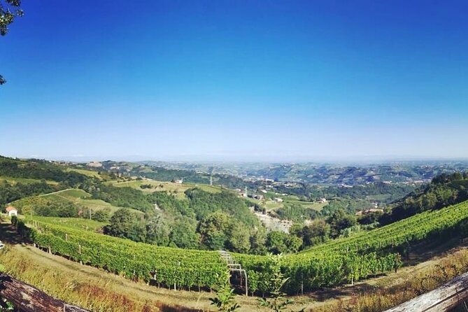 Barolo&Barbaresco Wine Experience with a Local Winemaker / Milano - Key things that make this Barolo-Barbaresco winemaker tour worth it