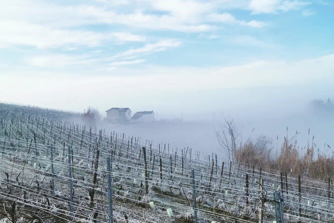 Barolo&Barbaresco Wine Experience with a Local Winemaker / Milano - La Morra and Castagnole Lanze: photo stops that also teach you the map