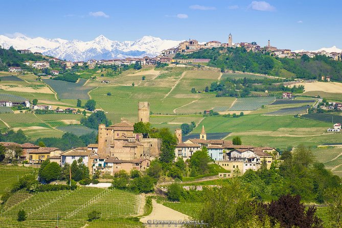 Barolo & Barbaresco Wine Tour with a Winemaker - A full-day Nebbiolo lesson in Langhe-Roero and Monferrato