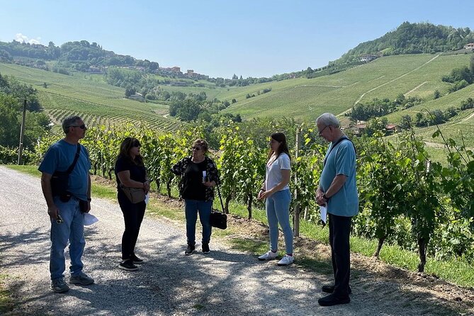 Barolo & Barbaresco Wine Tour with a Winemaker - Barolo village break: free time and the fortress-town vibe