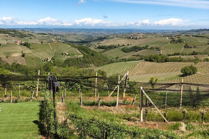 Barolo & CO: visit and tasting - Meeting At Agriturismo La Torricella and Finding Diego Pressenda