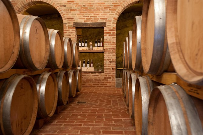 Barolo & CO: visit and tasting - Down Into The Barricaia: French Oak Barrels Below Ground