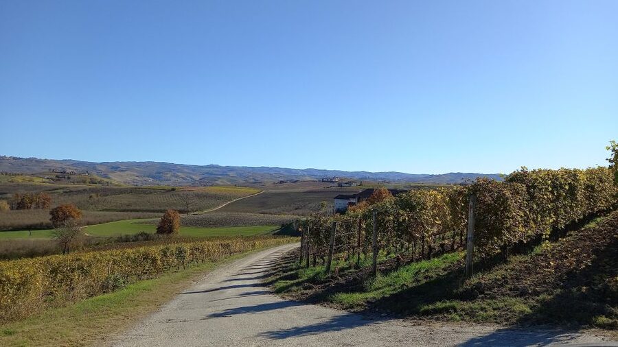 Barolo Langhe Wine Tour - Key highlights worth marking on your map
