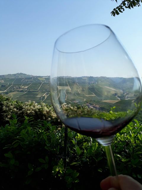 Barolo Langhe Wine Tour - Why this Barolo + Langhe format works so well in 4 hours