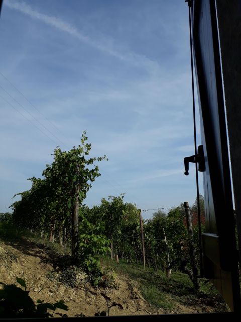 Barolo Langhe Wine Tour - La Morra stop (30 minutes): the village atmosphere that teaches you terroir