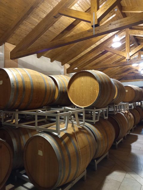 Barolo Langhe Wine Tour - The Langhe hills winery visit (1.5 hours): cellar tour + tasting in one family-run setting