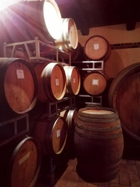 Barolo Langhe Wine Tour - What you taste: Barolo included, plus Nebbiolo and Barbera d’Alba