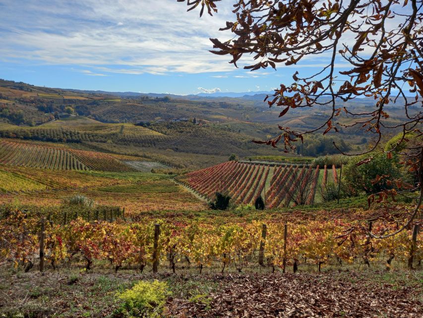 Barolo Langhe Wine Tour - Tips so you enjoy every stop (and not just the wine)