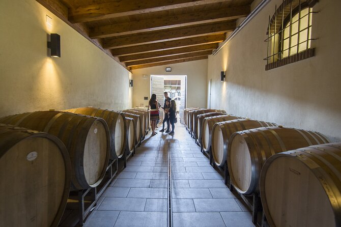 Barolo Wine Tour - Key moments worth planning for