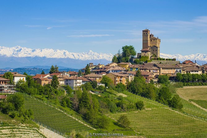 Barolo Wine Tour - Costa di Bussia and the family-estate tasting game plan