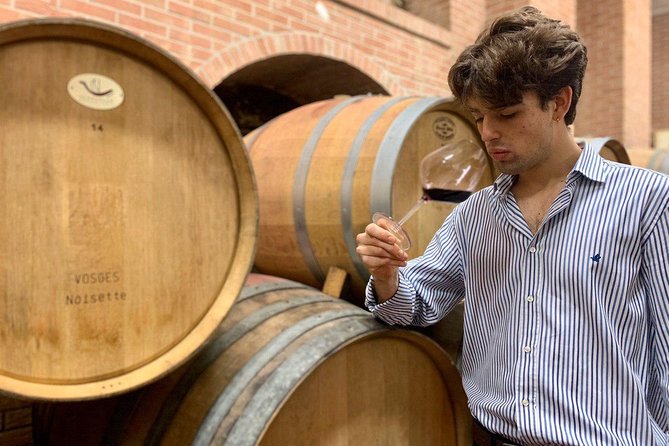 Classic Private Wine Tasting in Castagnole delle Lanze - Key highlights you’ll feel in the moment