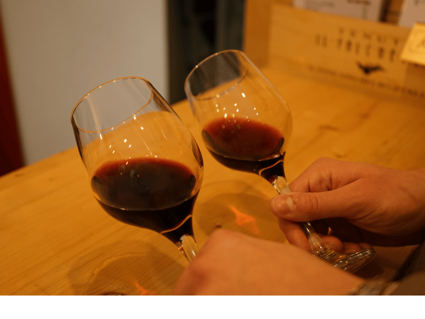 Easy Wine Tasting in Turin City Center - The Food Pairing Isn’t Random: Cheese and Cured Meats With Purpose