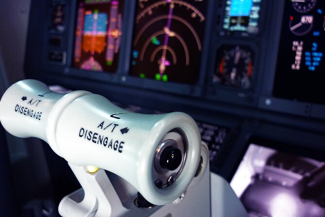 Flight Simulator HI SPEED for 30 Mins - Key highlights before you book