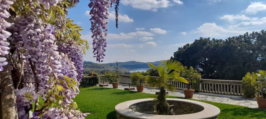 From Turin: food and wine guided tour in Canavese - Key things to know before you go
