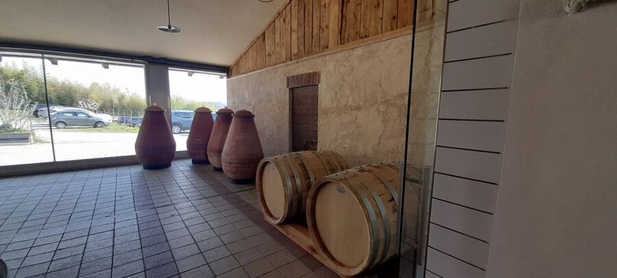 From Turin: food and wine guided tour in Canavese - Ivrea’s medieval center: guided walking and the city’s identity