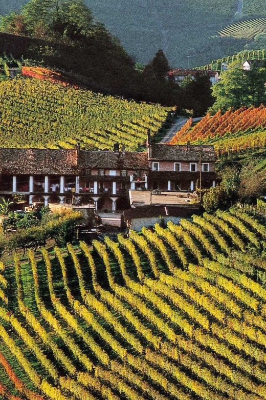 Full-Day Langhe Region Tour with Wine Tasting Experience - Key things to know before you go