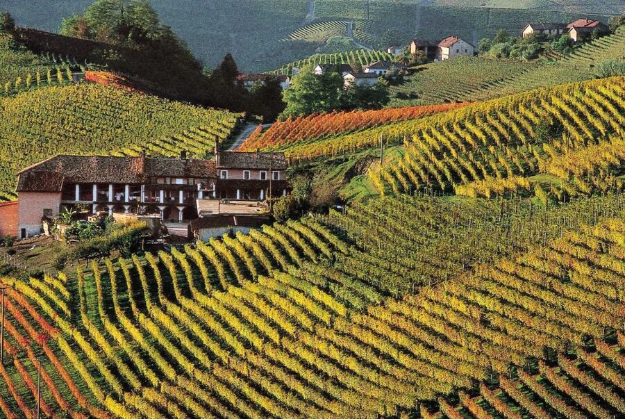 Full-Day Langhe Region Tour with Wine Tasting Experience - La Morra and the UNESCO view: more than a pretty photo stop