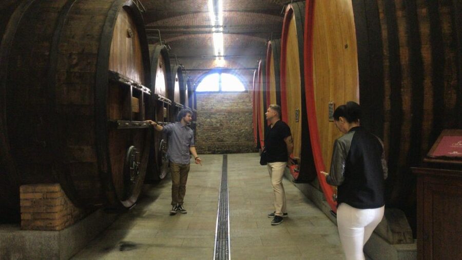 Full-Day Langhe Region Tour with Wine Tasting Experience - What to bring and how to prepare