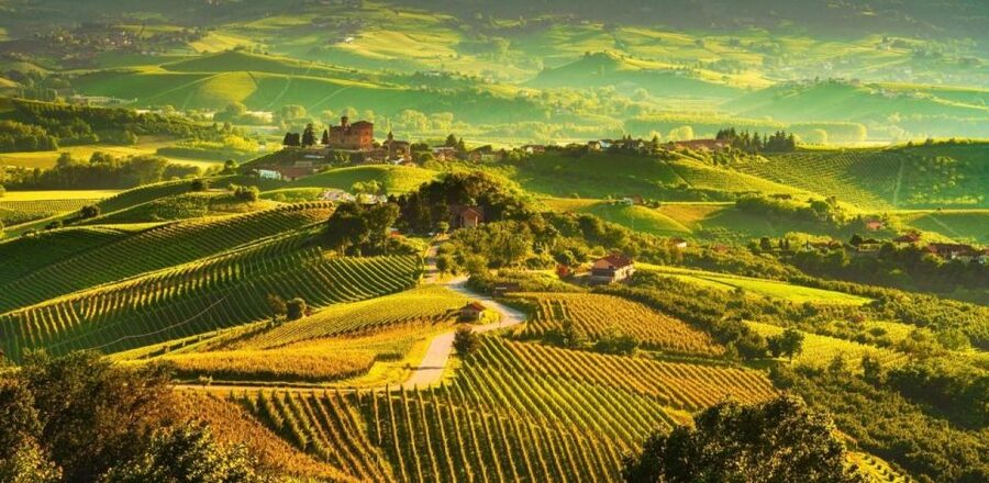 Full-Day Langhe Region Tour with Wine Tasting Experience - Who this tour is best for