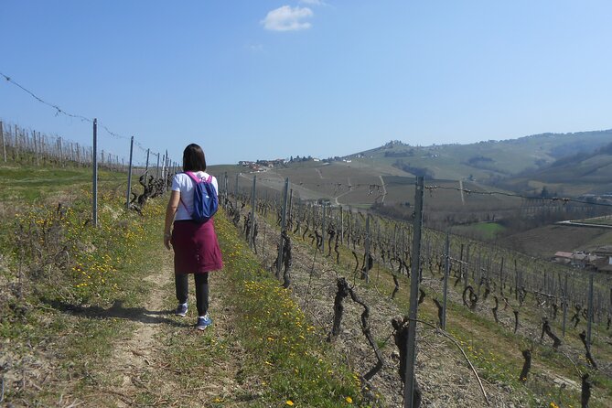 Hiking and wine tour starting from Alba - Key highlights at a glance