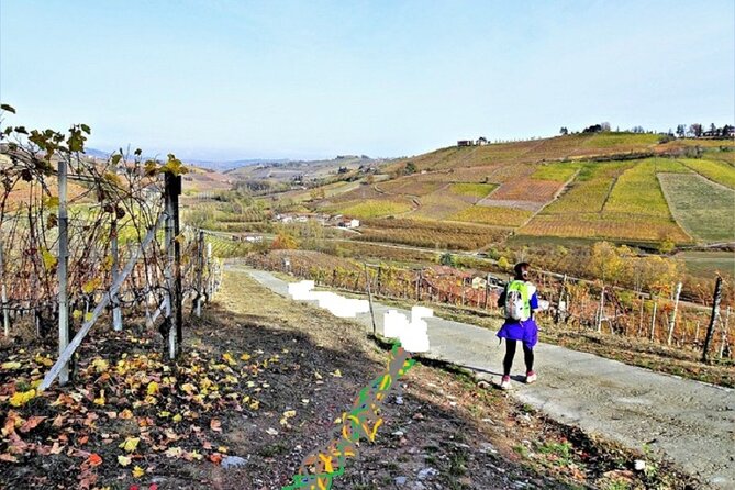 Hiking and wine tour starting from Alba - Langhe Wine Hills From Alba: Why This Half-Day Feels Worth It