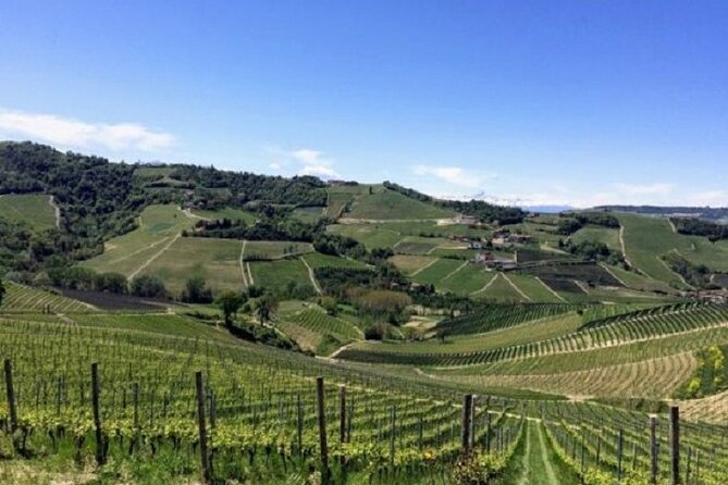 Hiking and wine tour starting from Alba - Stop 2 on the Hills Around Alba: Scenic Views Without Navigation Stress