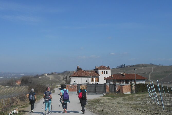 Hiking and wine tour starting from Alba - What the Wine Tasting Actually Means Here (It’s More Than Pour-and-Go)