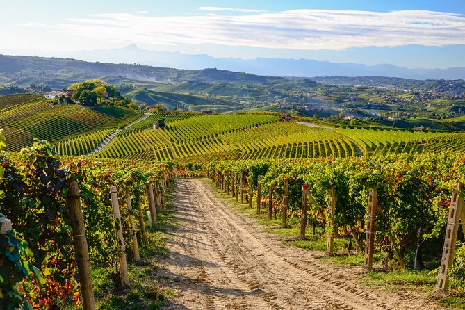 "Langhe del Barolo" Private E-bike Tour - Asphalt and Dirt Road - The Langhe del Barolo Route: Why This Works So Well