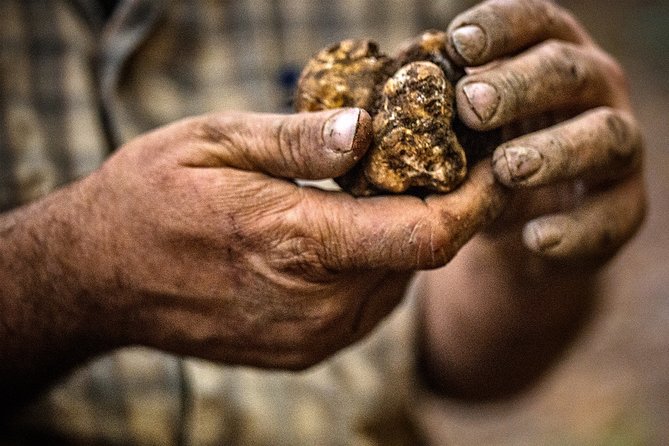 Langhe Truffle hunting Experience - Key things I’d underline before you go