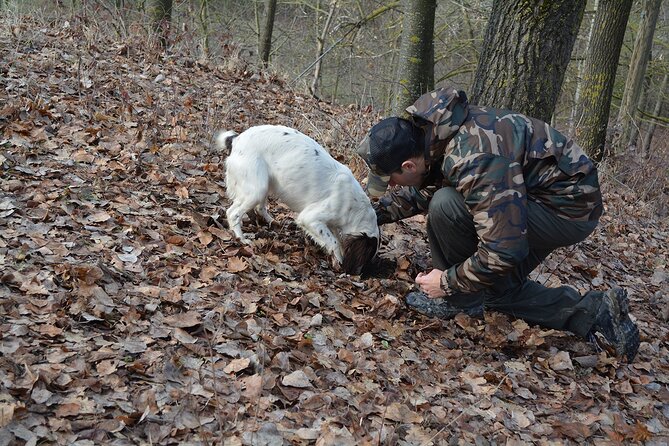 Langhe Truffle hunting Experience - What You’ll Learn About Piedmont Food (And What to Ask For Later)