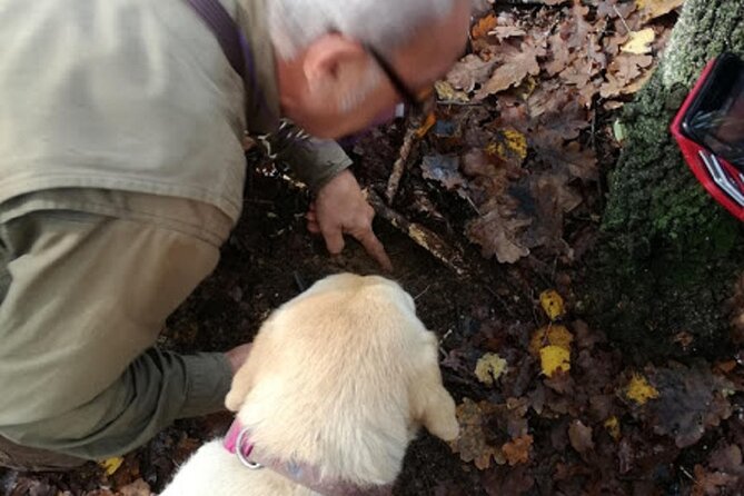 Langhe Truffle hunting Experience - Included Gear and What to Pack for Muddy Weather