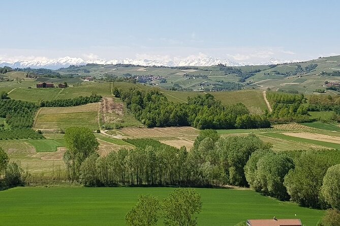 Museo delle Langhe Entrance Ticket - Key things to know before you go