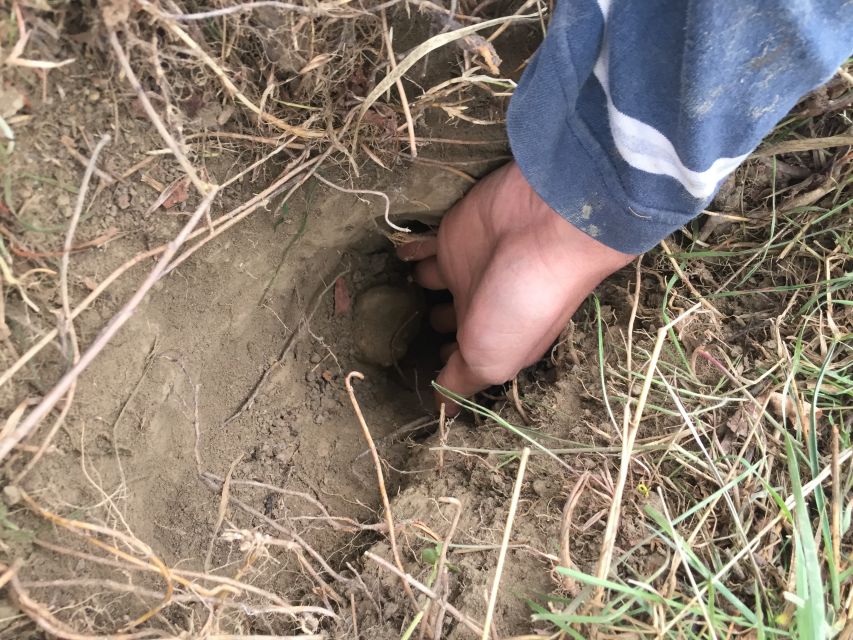 Piedmont: Truffle Hunting - Truffle school and sensory analysis: learning how experts look