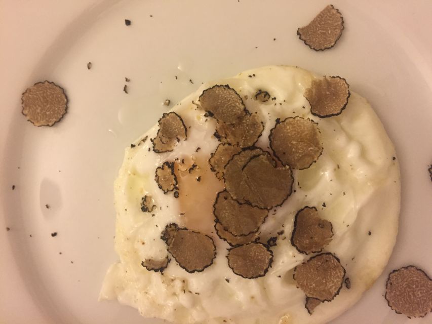 Piedmont: Truffle Hunting - Price value: how $152.93 makes sense for a guided dog hunt