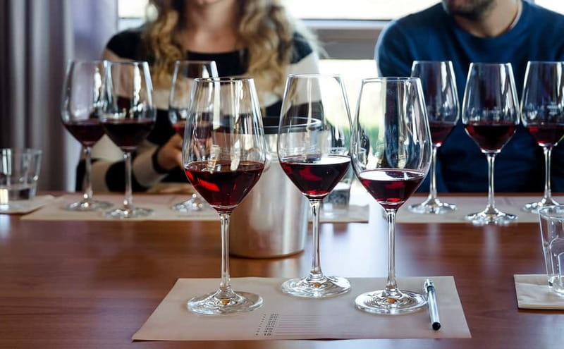 Piedmont: Winery Tour, Taste Barolo, Barbaresco & Local Food - Key things I’d circle before you book