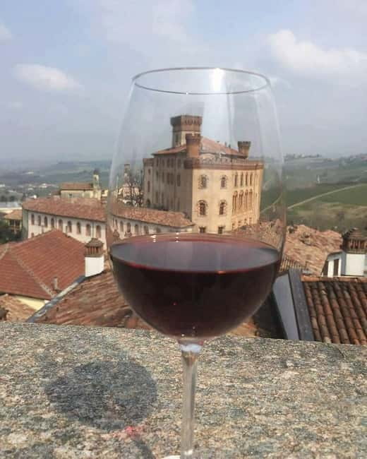 Piedmont: Winery Tour, Taste Barolo, Barbaresco & Local Food - Vineyard walk: the quick lesson that makes the tasting make sense