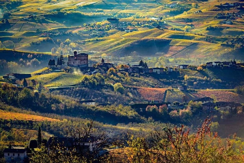 Piedmont: Winery Tour, Taste Barolo, Barbaresco & Local Food - Price and value for a 2-hour Piedmont wine tasting