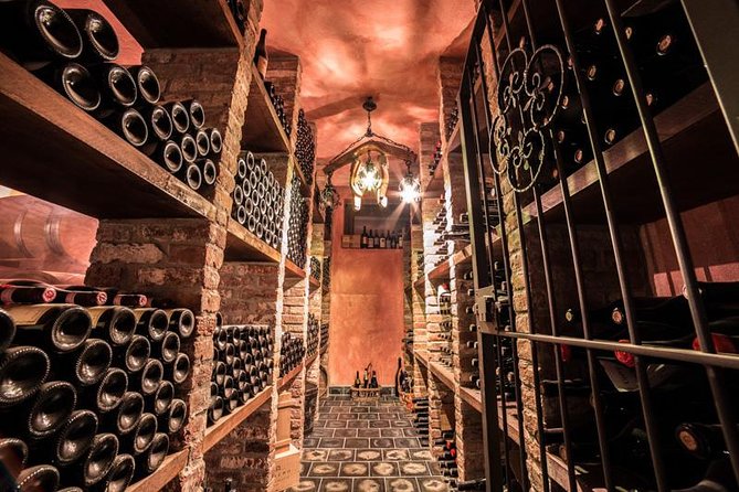 Piedmont Winery Tour: Taste Barolo, Barbaresco & Traditional Food - What You Actually Do: Vineyard Walk, Cellar Time, and a 7-Wine Progression