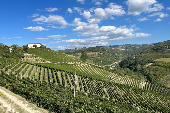 Private Barolo Wine Tour with Winemaker - Key points worth your time