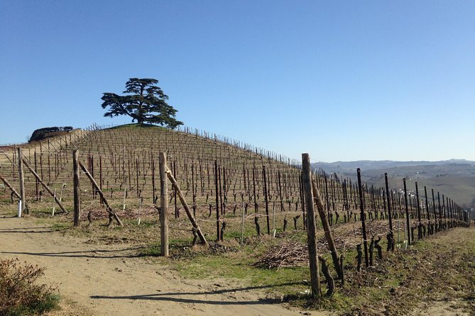 Private Barolo Wine Tour with Winemaker - Stop in Barolo: cru geography plus the soil story