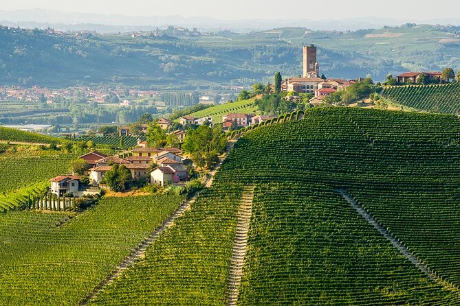 Private E-bike Tour " Langhe del Barbaresco " - Asphalt only - Key highlights to plan for