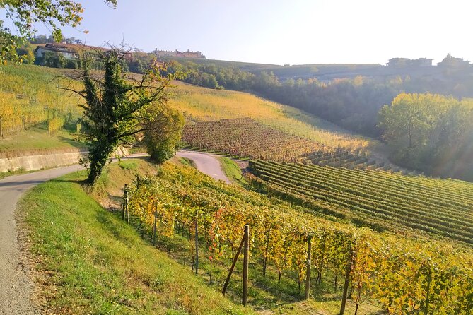 Private E-bike Tour " Langhe del Barbaresco " - Asphalt only - Stop 3: Neive lunch time in a medieval setting