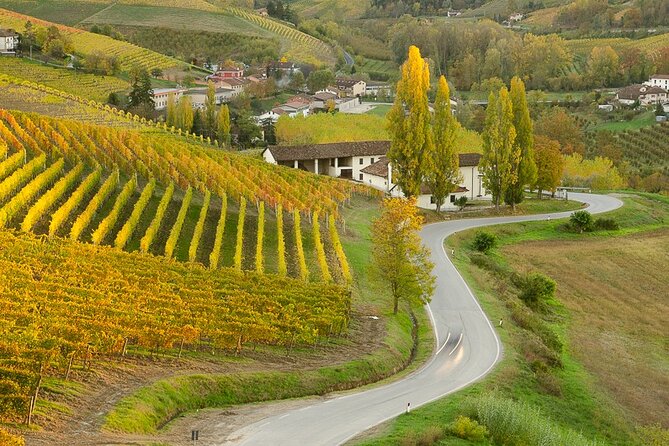 Private E-bike Tour " Langhe del Barbaresco " - Asphalt only - Stop 4: Barbaresco historic center, tower walk, and optional wine tasting