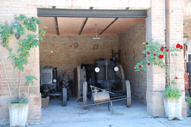 Private Tasting Barbaresco Experience with Typical Products - Entering the cellar world: aging rooms and an odd, charming court