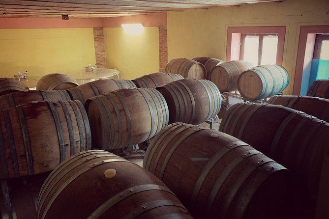 Private Tasting Barbaresco Experience with Typical Products - The food pairing: cheese and cold cuts that respect the wine